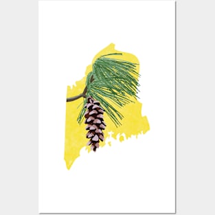 Maine White Pine Cone Posters and Art